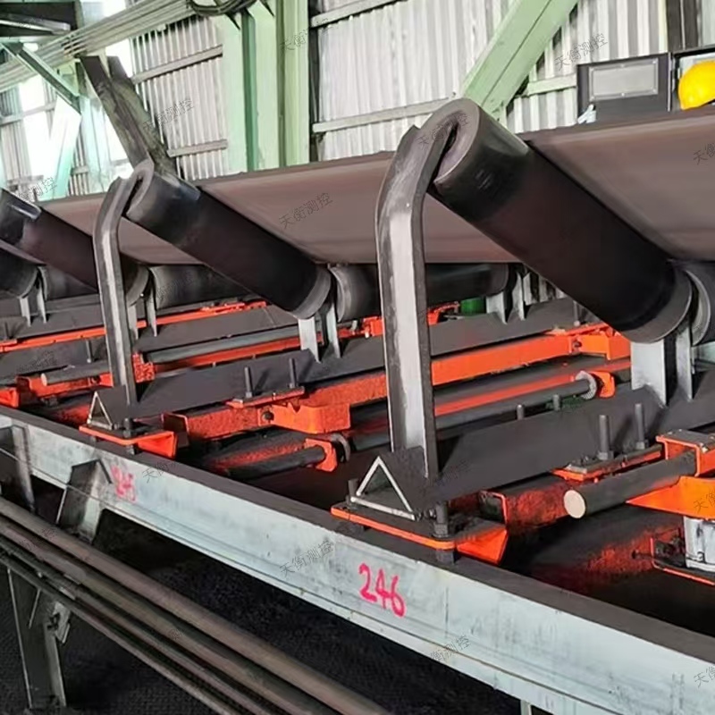 TH-ZL/0/2級(jí)高精度陣列式皮帶秤