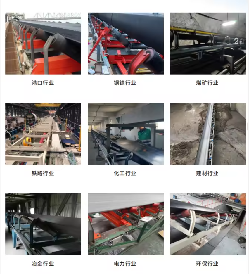 TH-ZL/0/2級(jí)高精度陣列式皮帶秤