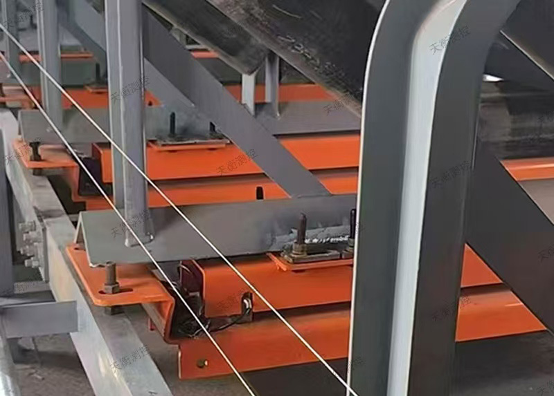 TH-ZL/0/2級(jí)高精度陣列式皮帶秤